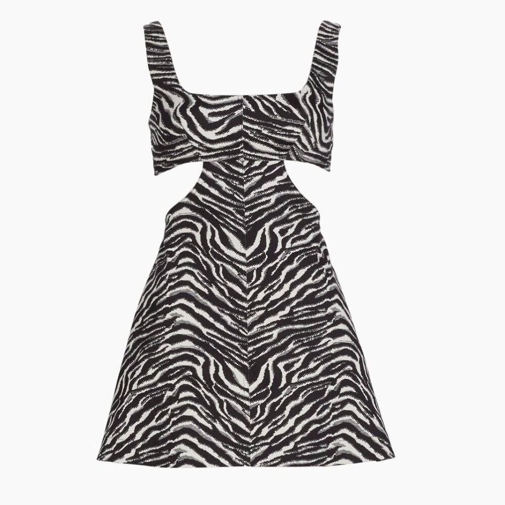 Matthew Bruch Zebra Minidress